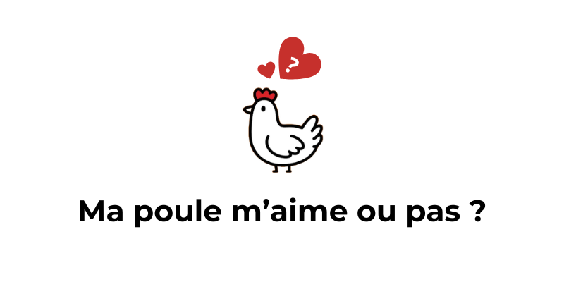 Comment savoir si ma poule m'aime bien