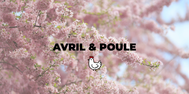 Avril au poulailler : poules et printemps avancé