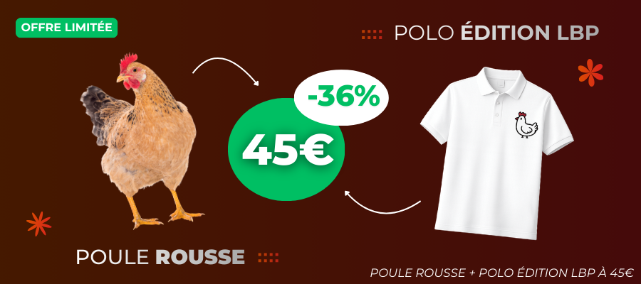 Mangeoire YTN 12 poules