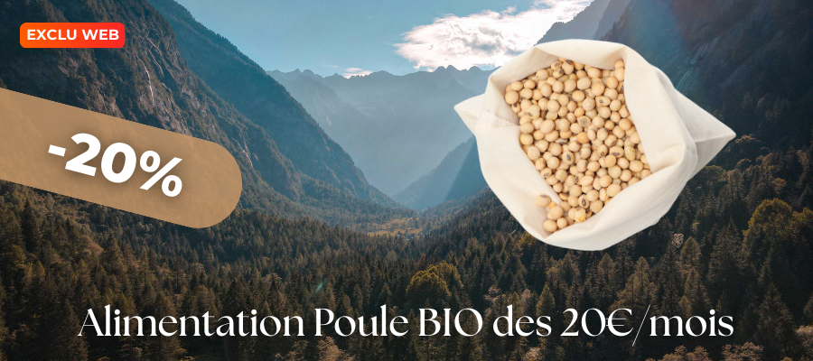 Alimentation dès 20€/mois